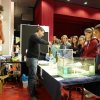 Stands St Nazaire